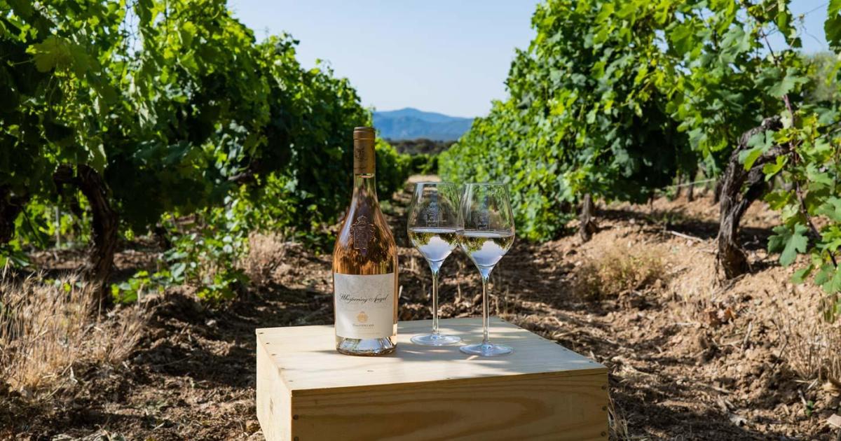 Ce Rosé Est L'Apéritif Et L'Accompagnement Parfait Des Plats Orientaux!
