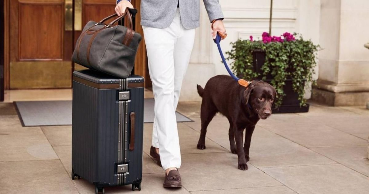 Travel Essentials for Men