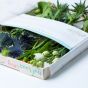 Bluebell Flowers Letterbox Gift