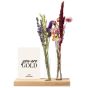 BloomNote Gift Box - Multicolor