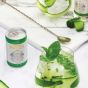 Feestvarken Gin & Tonic Set