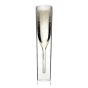 Double Walled Champagne Flute - 1 piece