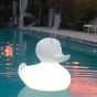 Goodnight Light The Duck Duck Lamp - Duo