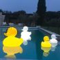 Goodnight Light The Duck Duck Lamp - Duo