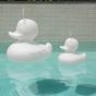 Goodnight Light The Duck Duck Lamp - Duo