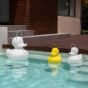 Goodnight Light The Duck Duck Lamp - Duo