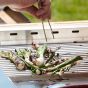 Induplus Bilba Grill