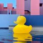 Goodnight Light The Duck Duck Lamp - XL