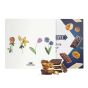 Jules' Chocolate Experience - Spring Edition
