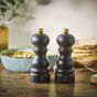 Peugot Paris Salt Set