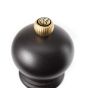 Peugot Paris Pepper Set