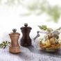 Peugot Bistro Salt Set