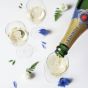 Pommery Glazen