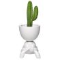 Qeeboo Turtle Carry Planter & Champagne Cooler