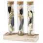 The Flower Experiment Gift Box - Black & White