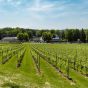 Tempranillo Prestige Pure Red Vandeurzen 2019
