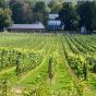 Tempranillo Prestige Pure Red Vandeurzen 2019