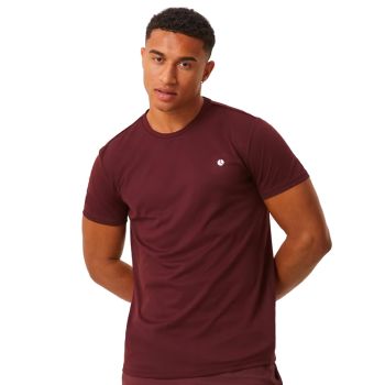 Björn Borg Ace T-shirt Stripe - Brown