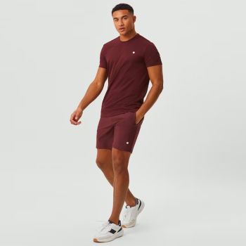 Björn Borg Ace T-shirt Stripe - Brun
