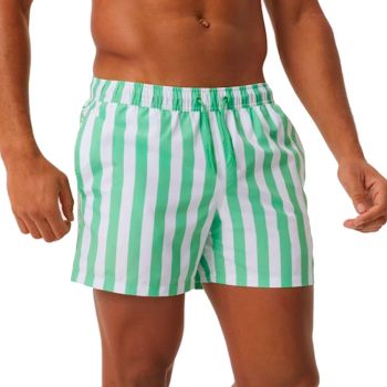 Björn Borg Borg Premium Swim Shorts - Striped