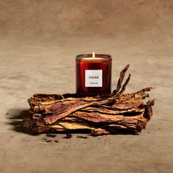 Assouline Bibliotekslys - Cigar
