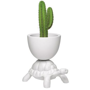 Qeeboo Turtle Carry Planter & Champagne Cooler