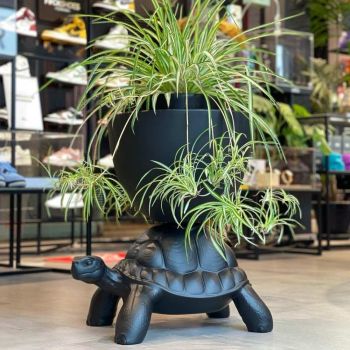 Qeeboo Turtle Carry Planter & Champagne Cooler