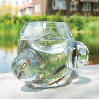 Weltevree Lokalt levested