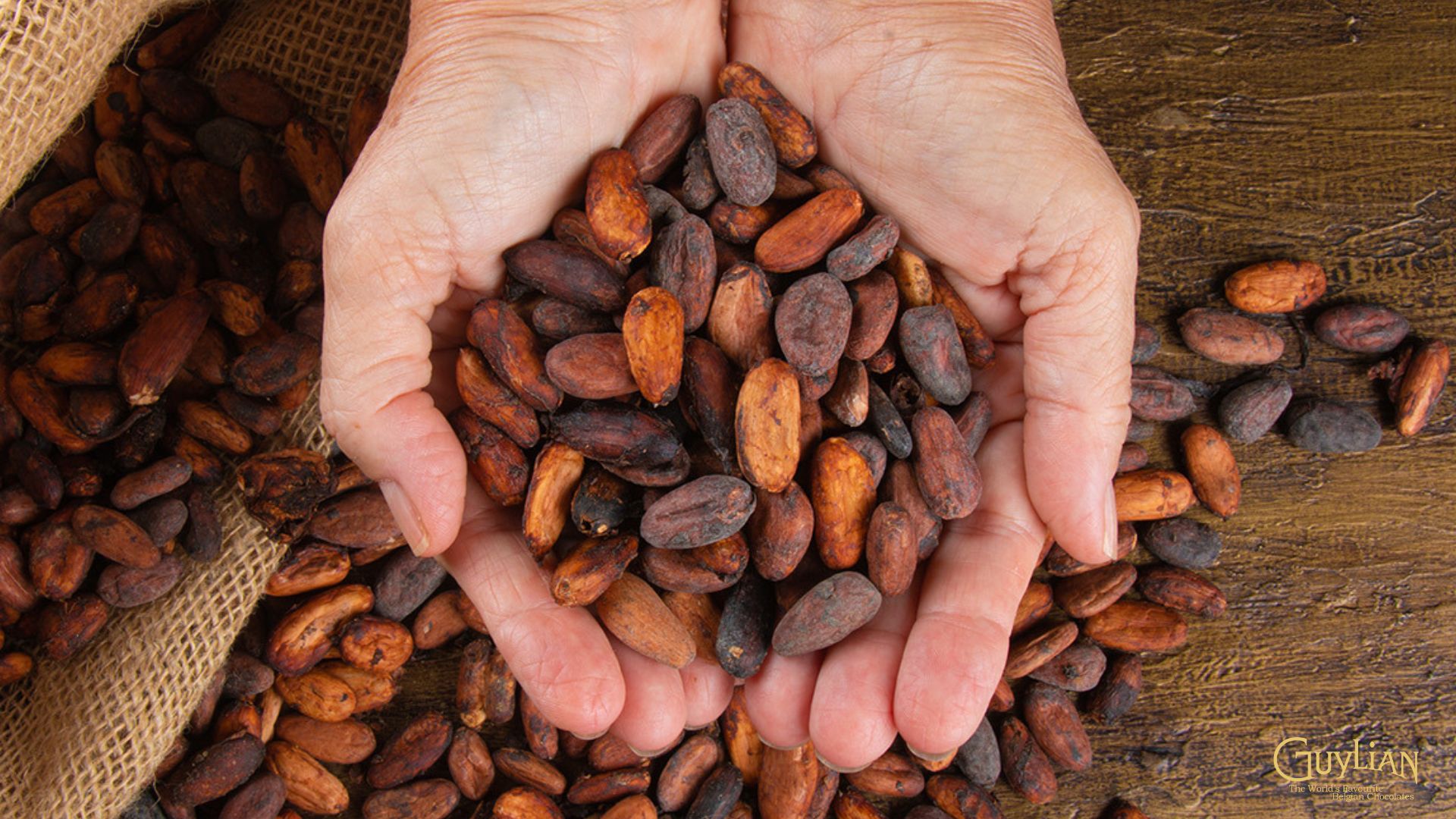 Guylian: Maatschappelijk Verantwoord Belgische Chocolade Guylian_chocolade