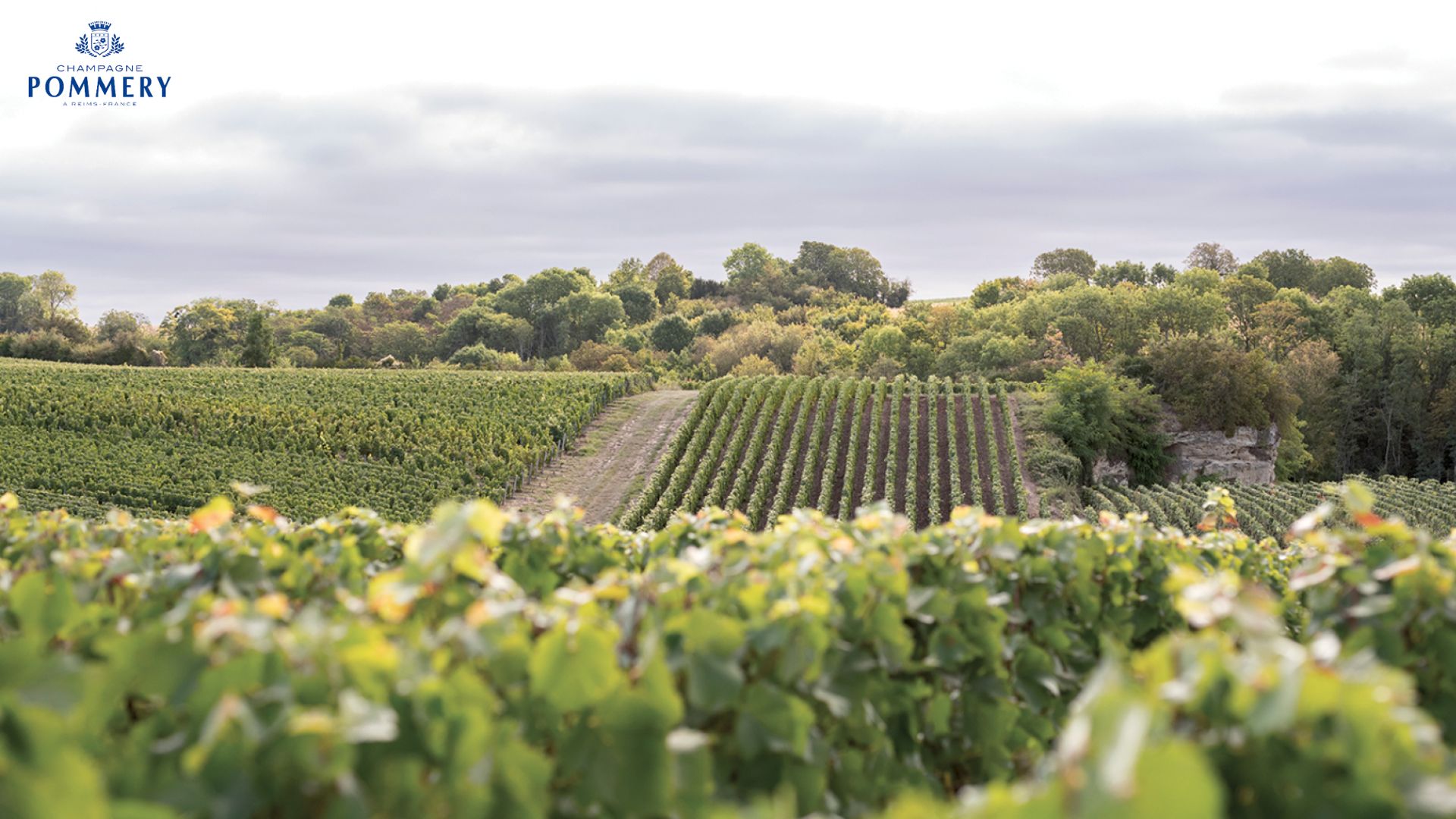 Vranken-Pommery-Monopole-1